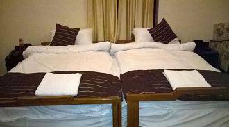 Dada Maharaj Palace - The Heritage Hotel, Datia 2